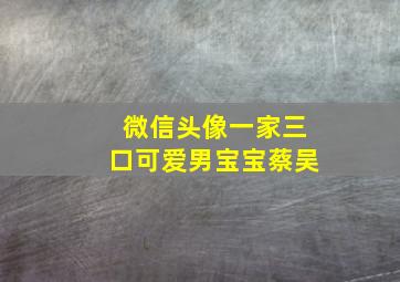 微信头像一家三口可爱男宝宝蔡吴