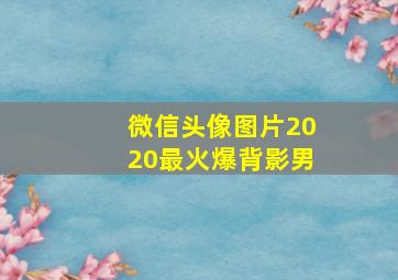 微信头像图片2020最火爆背影男