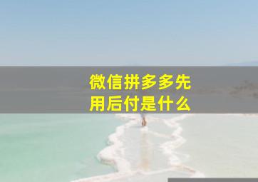 微信拼多多先用后付是什么