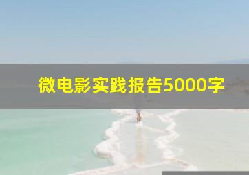 微电影实践报告5000字