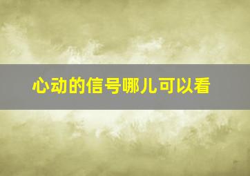 心动的信号哪儿可以看