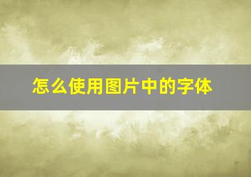 怎么使用图片中的字体