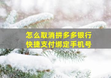 怎么取消拼多多银行快捷支付绑定手机号