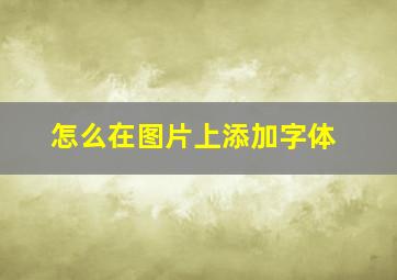 怎么在图片上添加字体