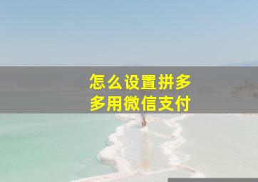 怎么设置拼多多用微信支付