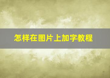 怎样在图片上加字教程