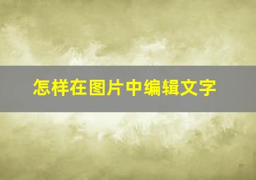 怎样在图片中编辑文字