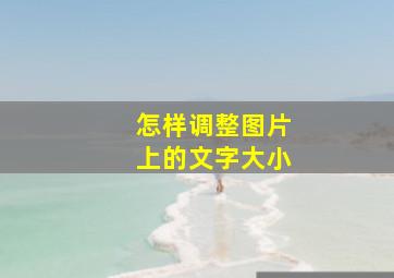 怎样调整图片上的文字大小