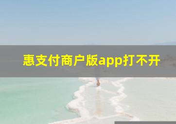 惠支付商户版app打不开