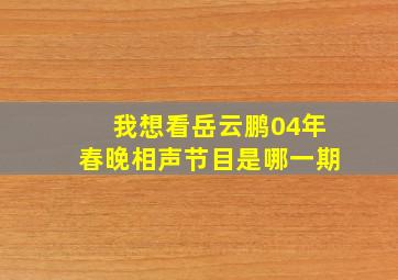 我想看岳云鹏04年春晚相声节目是哪一期