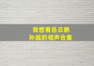 我想看岳云鹏孙越的相声合集