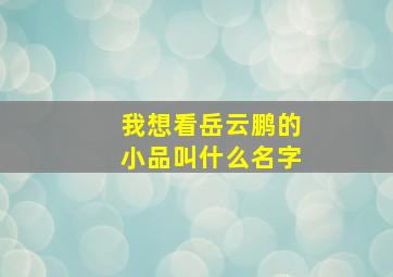 我想看岳云鹏的小品叫什么名字