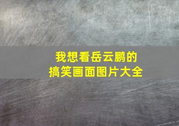 我想看岳云鹏的搞笑画面图片大全