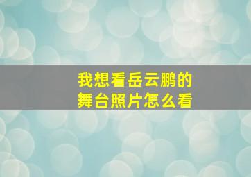 我想看岳云鹏的舞台照片怎么看