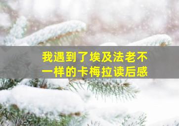 我遇到了埃及法老不一样的卡梅拉读后感