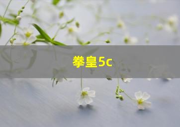 拳皇5c