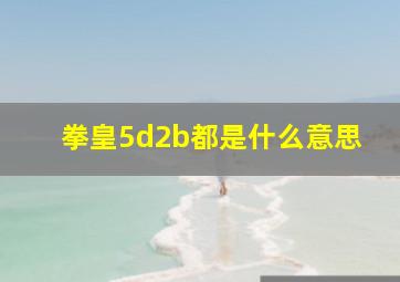 拳皇5d2b都是什么意思