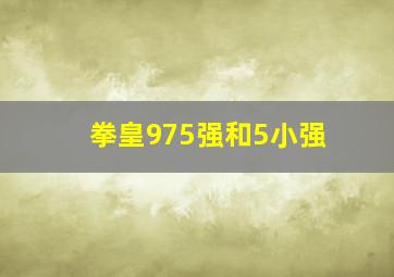 拳皇975强和5小强