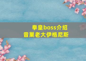 拳皇boss介绍音巢老大伊格尼斯