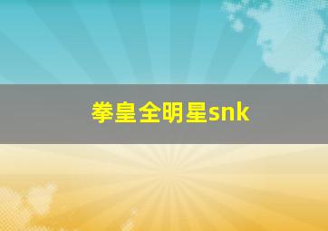 拳皇全明星snk