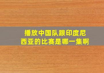 播放中国队跟印度尼西亚的比赛是哪一集啊