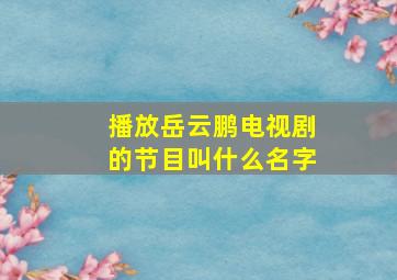 播放岳云鹏电视剧的节目叫什么名字