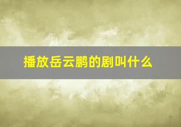 播放岳云鹏的剧叫什么