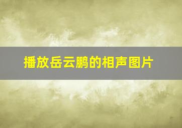 播放岳云鹏的相声图片