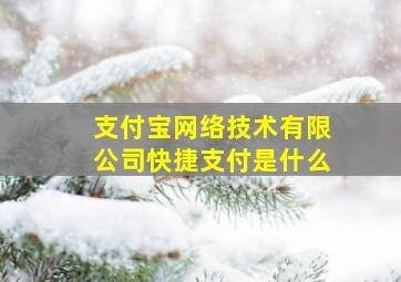 支付宝网络技术有限公司快捷支付是什么