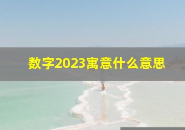 数字2023寓意什么意思