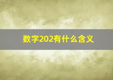 数字202有什么含义