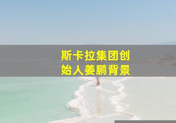 斯卡拉集团创始人姜鹏背景