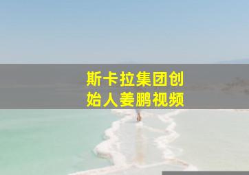 斯卡拉集团创始人姜鹏视频