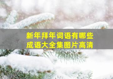 新年拜年词语有哪些成语大全集图片高清