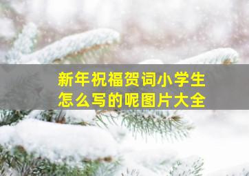 新年祝福贺词小学生怎么写的呢图片大全