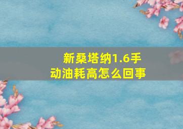 新桑塔纳1.6手动油耗高怎么回事