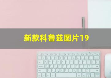 新款科鲁兹图片19