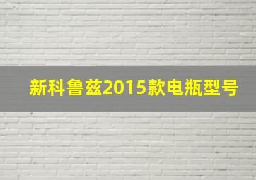 新科鲁兹2015款电瓶型号