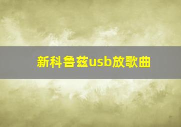 新科鲁兹usb放歌曲