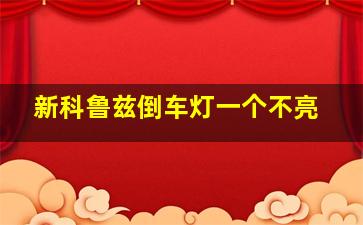 新科鲁兹倒车灯一个不亮