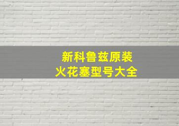 新科鲁兹原装火花塞型号大全