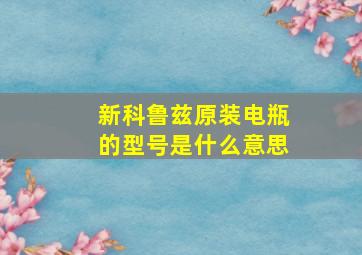 新科鲁兹原装电瓶的型号是什么意思