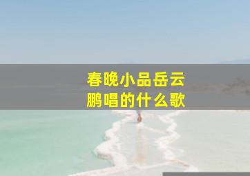 春晚小品岳云鹏唱的什么歌