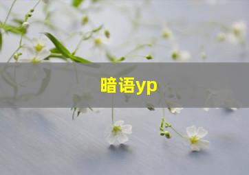 暗语yp