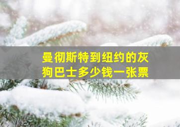 曼彻斯特到纽约的灰狗巴士多少钱一张票