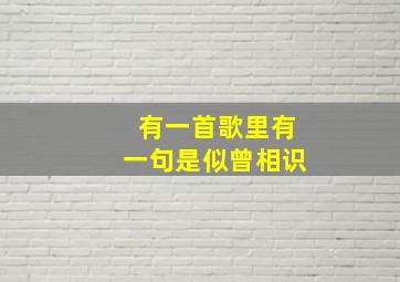 有一首歌里有一句是似曾相识