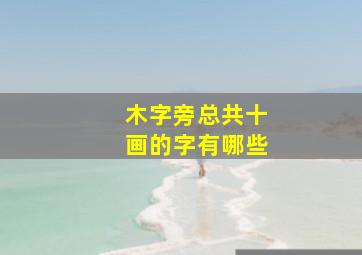 木字旁总共十画的字有哪些