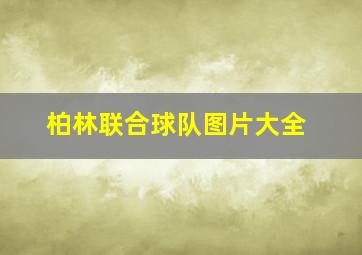 柏林联合球队图片大全