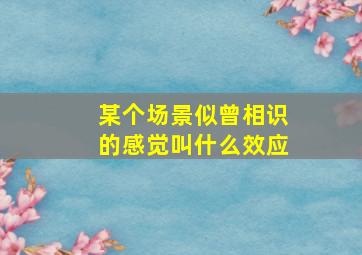 某个场景似曾相识的感觉叫什么效应