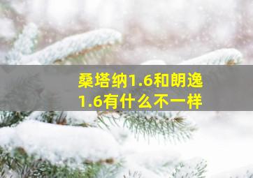 桑塔纳1.6和朗逸1.6有什么不一样